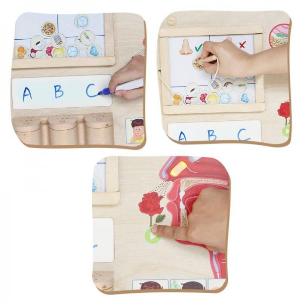 Tablica edukacyjna - zmysł węchu, Masterkidz Tablica edukacyjna - zmysł węchu, Masterkidz