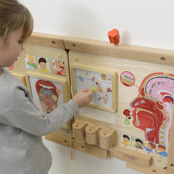Tablica edukacyjna - zmysł węchu, Masterkidz Tablica edukacyjna - zmysł węchu, Masterkidz