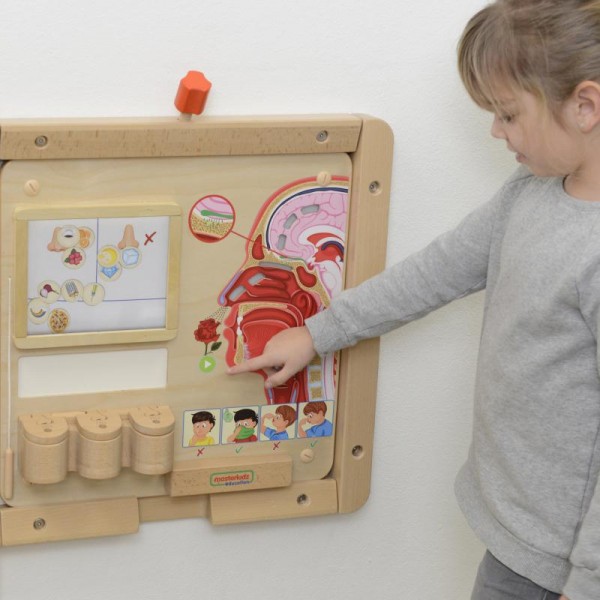 Tablica edukacyjna - zmysł węchu, Masterkidz Tablica edukacyjna - zmysł węchu, Masterkidz