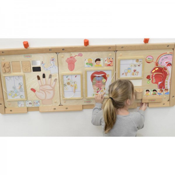 Tablica edukacyjna - zmysł węchu, Masterkidz Tablica edukacyjna - zmysł węchu, Masterkidz
