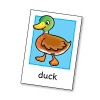 Flashcards - fiszki do angielskiego Orchard Toys