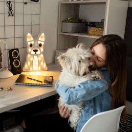 Buldog  -drewniana lampa LED, Lights My Love