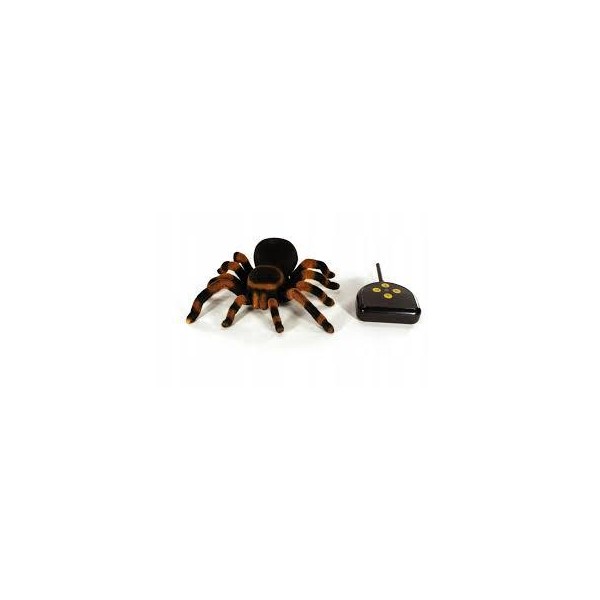 Zdalnie sterowana tarantula, Buki